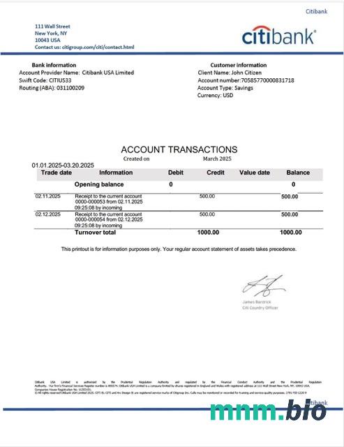 USA Citiwyciąg z konta bankowego szablon Worda i PDF, version 2